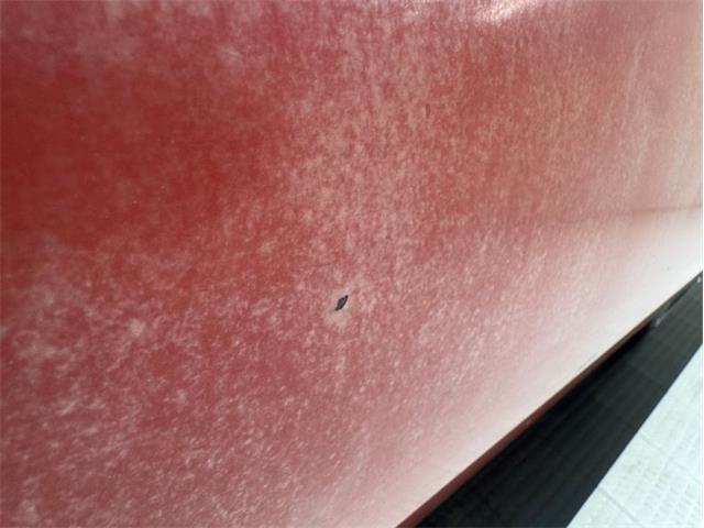 1968 Oldsmobile 442 (CC-2066995) for sale in Morgantown, Pennsylvania