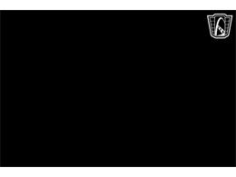 1989 Chevrolet Corvette (CC-2067033) for sale in Crete, Illinois