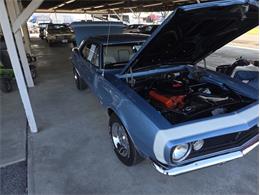 1967 Chevrolet Camaro (CC-2067047) for sale in Carlisle, Pennsylvania