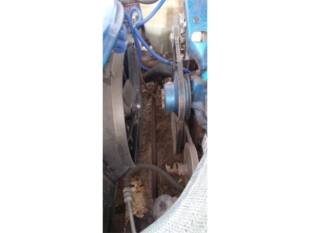 1979 Chevrolet Camaro (CC-2067091) for sale in Cadillac, Michigan