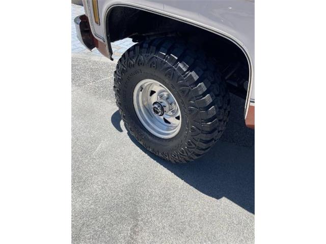 1977 Chevrolet Blazer (CC-2067124) for sale in Cadillac, Michigan