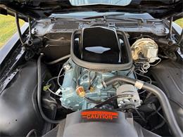1977 Pontiac Firebird Trans Am (CC-2067137) for sale in Addison, Illinois