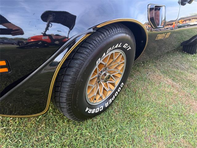 1977 Pontiac Firebird Trans Am (CC-2067137) for sale in Addison, Illinois