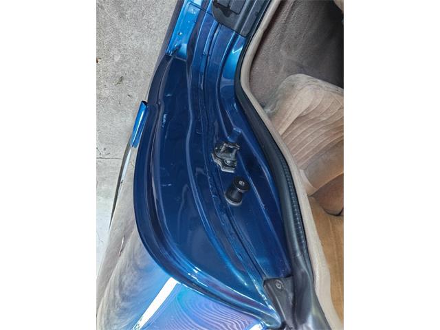 1995 Pontiac Firebird (CC-2067208) for sale in Woodland Hills, California