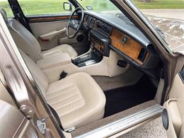 1985 Jaguar XJ (CC-2067210) for sale in Carey, Illinois