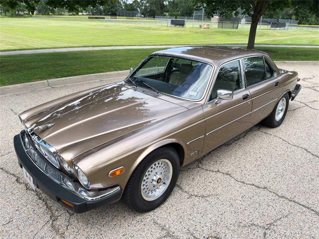 1985 Jaguar XJ (CC-2067210) for sale in Carey, Illinois