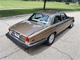 1985 Jaguar XJ (CC-2067210) for sale in Carey, Illinois