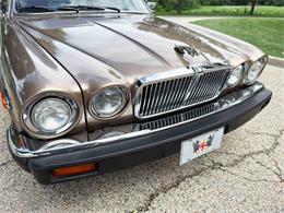 1985 Jaguar XJ (CC-2067210) for sale in Carey, Illinois