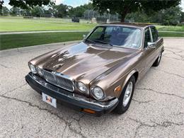 1985 Jaguar XJ (CC-2067210) for sale in Carey, Illinois