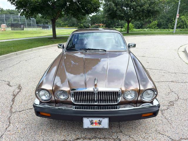 1985 Jaguar XJ (CC-2067210) for sale in Carey, Illinois