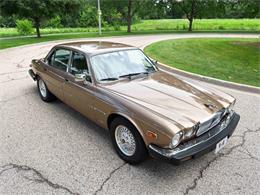 1985 Jaguar XJ (CC-2067210) for sale in Carey, Illinois