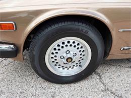 1985 Jaguar XJ (CC-2067210) for sale in Carey, Illinois