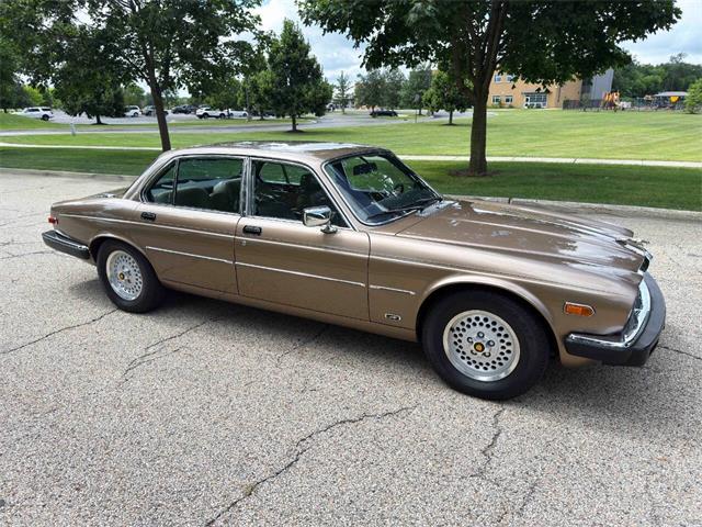 1985 Jaguar XJ (CC-2067210) for sale in Carey, Illinois