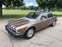 1985 Jaguar XJ (CC-2067210) for sale in Carey, Illinois