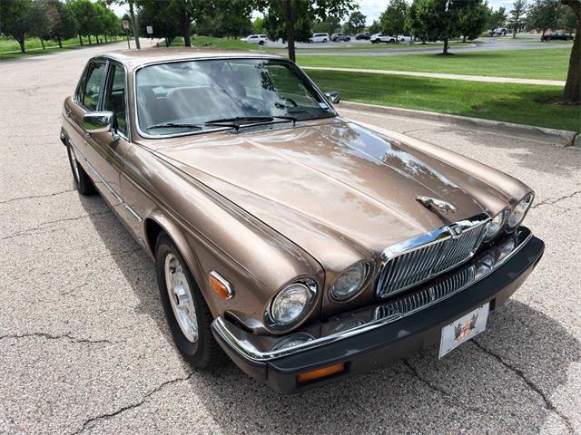 1985 Jaguar XJ (CC-2067210) for sale in Carey, Illinois