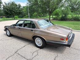 1985 Jaguar XJ (CC-2067210) for sale in Carey, Illinois