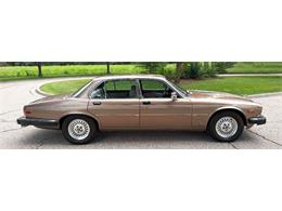 1985 Jaguar XJ (CC-2067210) for sale in Carey, Illinois