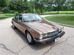 1985 Jaguar XJ (CC-2067210) for sale in Carey, Illinois
