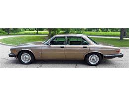 1985 Jaguar XJ (CC-2067210) for sale in Carey, Illinois