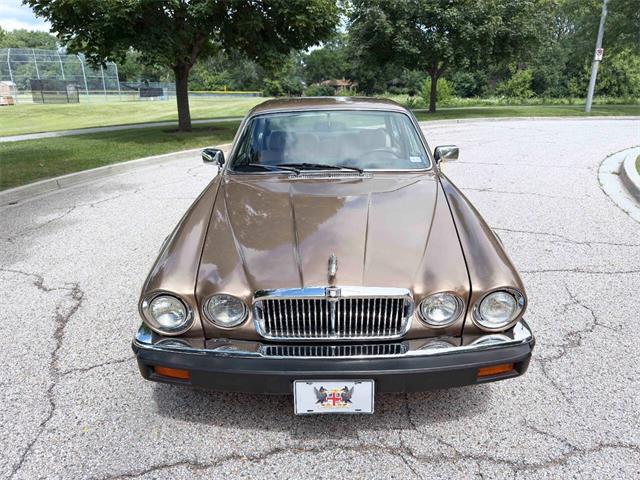 1985 Jaguar XJ (CC-2067210) for sale in Carey, Illinois