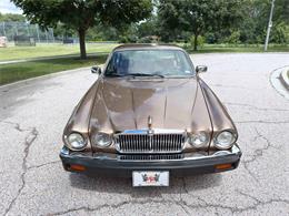 1985 Jaguar XJ (CC-2067210) for sale in Carey, Illinois