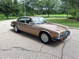 1985 Jaguar XJ (CC-2067210) for sale in Carey, Illinois