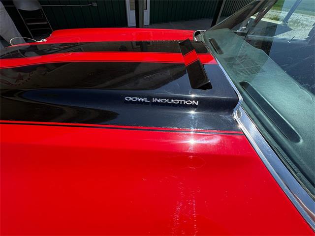 1970 Chevrolet El Camino (CC-2067224) for sale in Nashville, Illinois