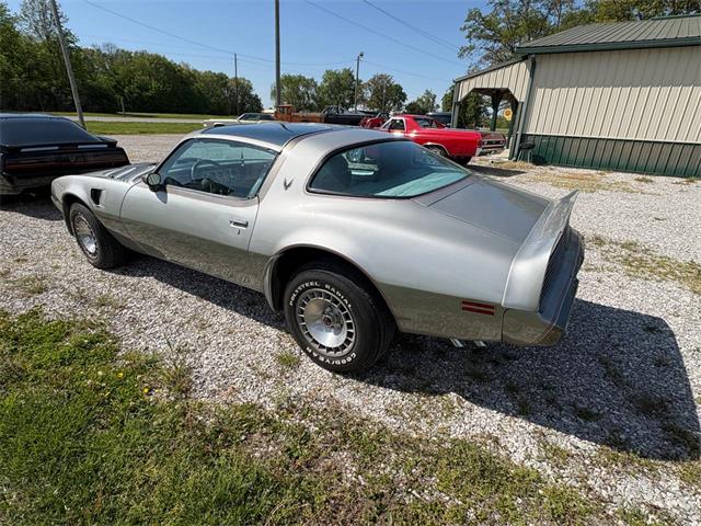 1979 Pontiac Firebird Trans Am (CC-2067228) for sale in Nashville, Illinois