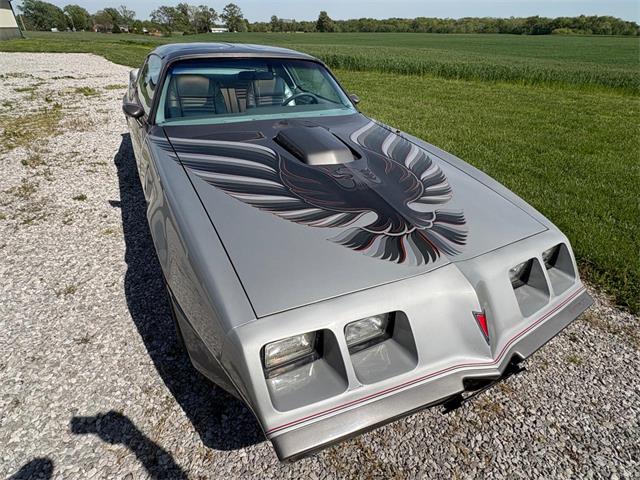 1979 Pontiac Firebird Trans Am (CC-2067228) for sale in Nashville, Illinois