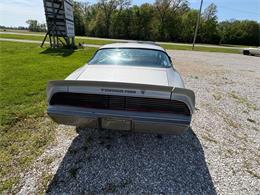 1979 Pontiac Firebird Trans Am (CC-2067228) for sale in Nashville, Illinois