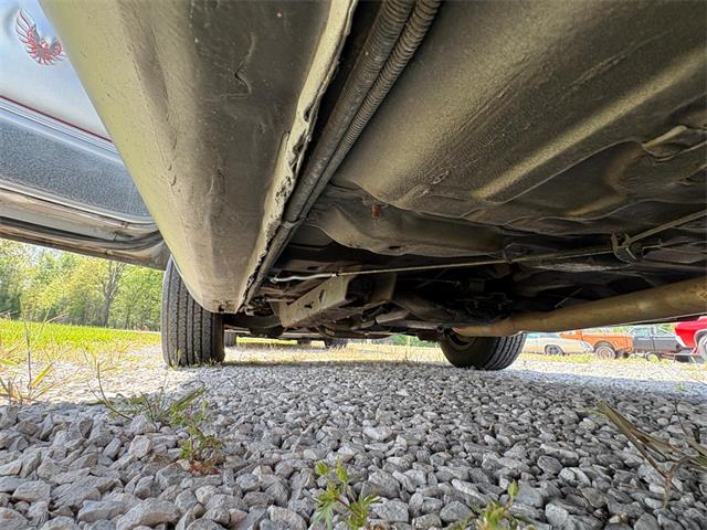1979 Pontiac Firebird Trans Am (CC-2067228) for sale in Nashville, Illinois