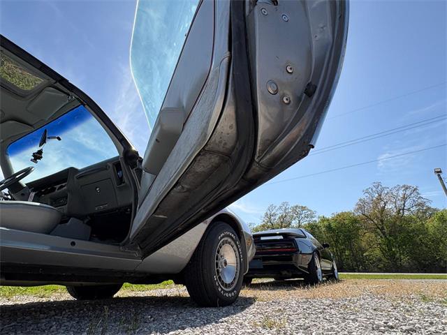 1979 Pontiac Firebird Trans Am (CC-2067228) for sale in Nashville, Illinois