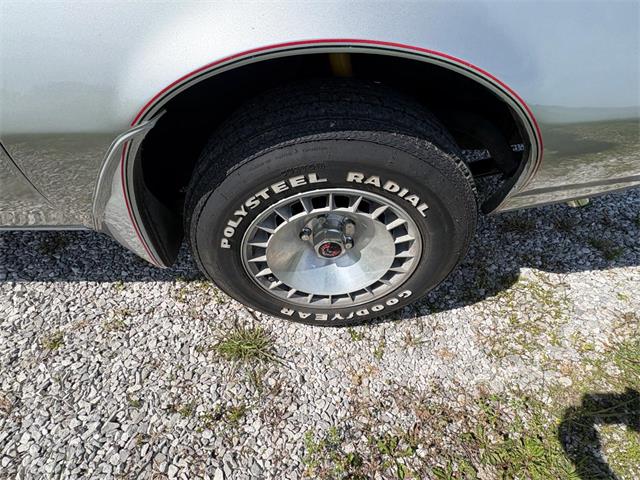 1979 Pontiac Firebird Trans Am (CC-2067228) for sale in Nashville, Illinois