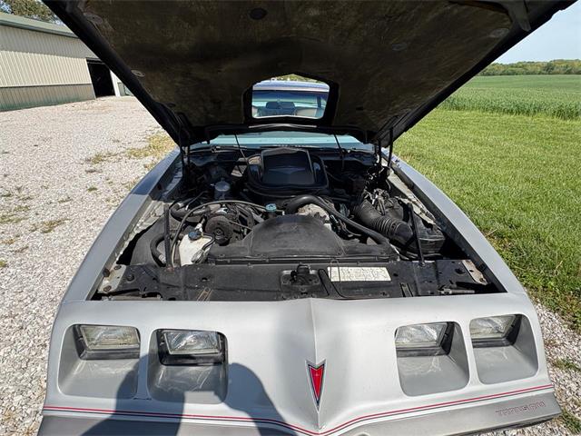 1979 Pontiac Firebird Trans Am (CC-2067228) for sale in Nashville, Illinois