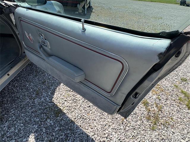 1979 Pontiac Firebird Trans Am (CC-2067228) for sale in Nashville, Illinois