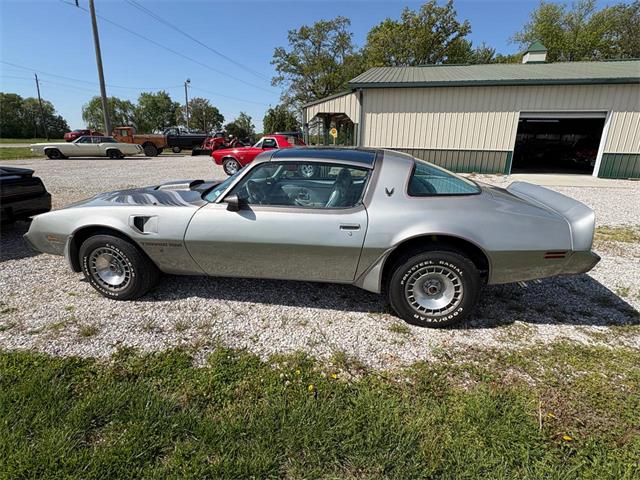 1979 Pontiac Firebird Trans Am (CC-2067228) for sale in Nashville, Illinois