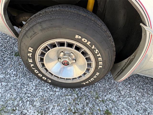 1979 Pontiac Firebird Trans Am (CC-2067228) for sale in Nashville, Illinois