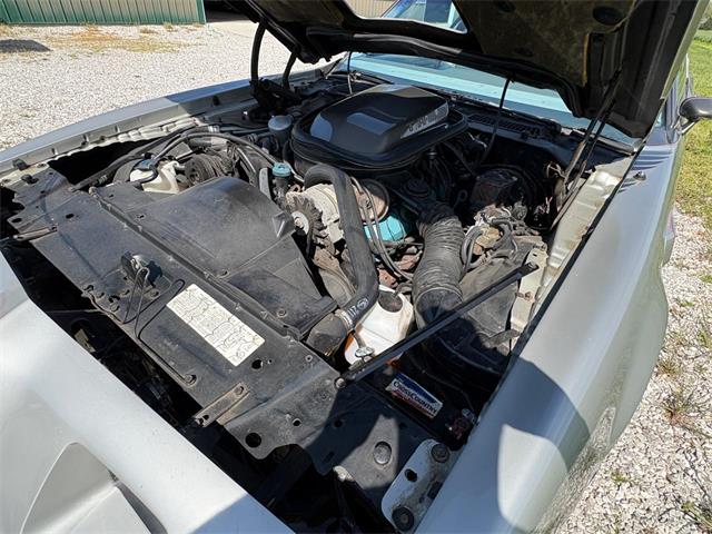 1979 Pontiac Firebird Trans Am (CC-2067228) for sale in Nashville, Illinois