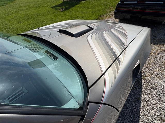 1979 Pontiac Firebird Trans Am (CC-2067228) for sale in Nashville, Illinois