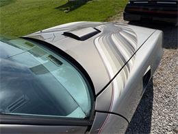 1979 Pontiac Firebird Trans Am (CC-2067228) for sale in Nashville, Illinois