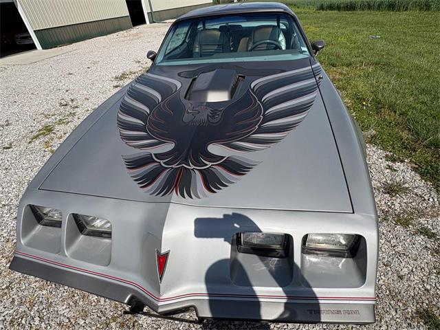 1979 Pontiac Firebird Trans Am (CC-2067228) for sale in Nashville, Illinois