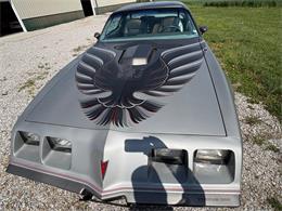 1979 Pontiac Firebird Trans Am (CC-2067228) for sale in Nashville, Illinois