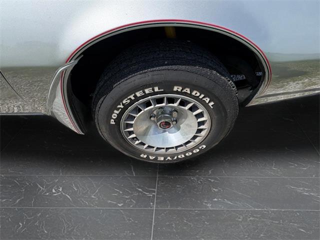 1979 Pontiac Firebird Trans Am (CC-2067228) for sale in Nashville, Illinois