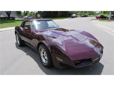 1981 Chevrolet Corvette (CC-2067229) for sale in Apopka, Florida