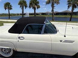 1955 Ford Thunderbird (CC-2067244) for sale in Parrish, Florida