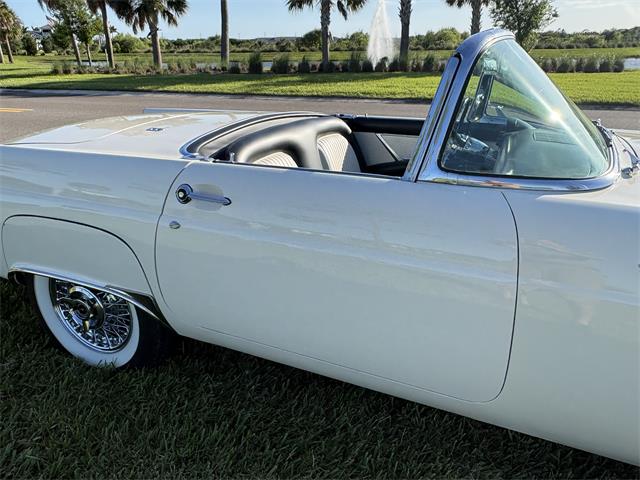 1955 Ford Thunderbird (CC-2067244) for sale in Parrish, Florida
