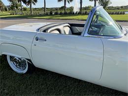 1955 Ford Thunderbird (CC-2067244) for sale in Parrish, Florida