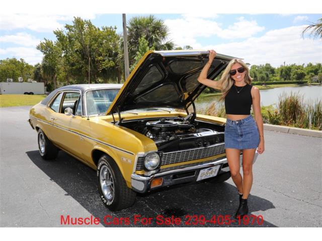 1971 Chevrolet Nova (CC-2067276) for sale in Fort Myers, Florida
