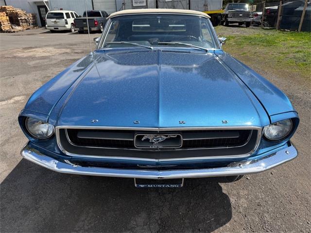 1967 Ford Mustang (CC-2067282) for sale in Penndel, Pennsylvania