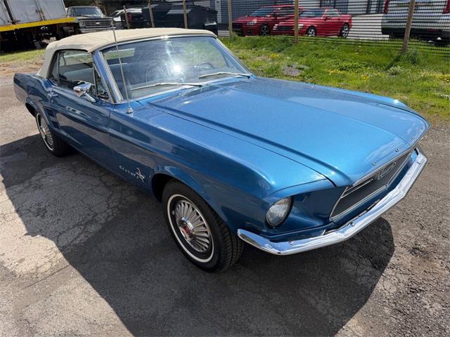 1967 Ford Mustang (CC-2067282) for sale in Penndel, Pennsylvania